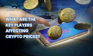 What are the key players affecting crypto prices?